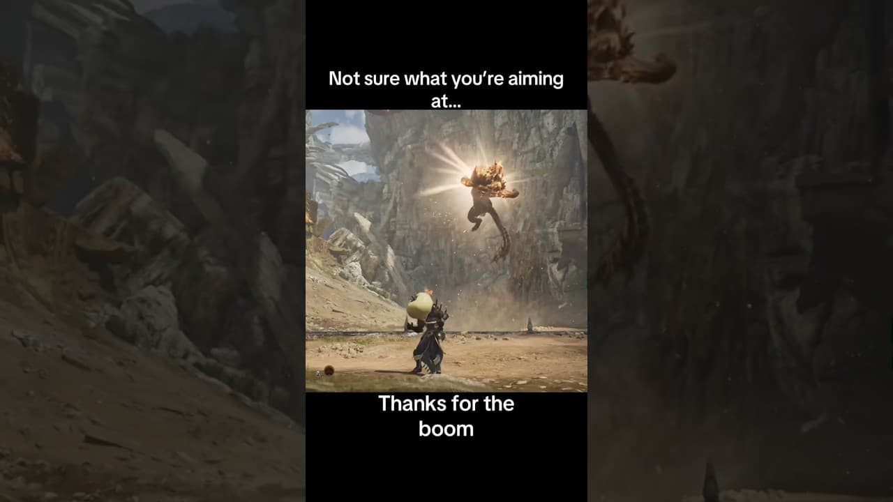 Fire and fuirt are a great combo #mhwilds #monsterhunter #mhw #dance #dragon
