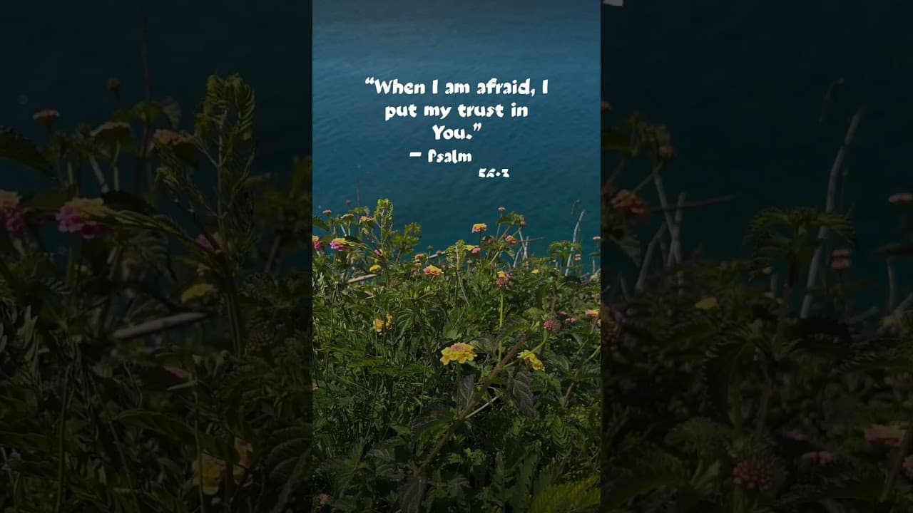 What To Do When Fear Takes Over | Psalm 56:3