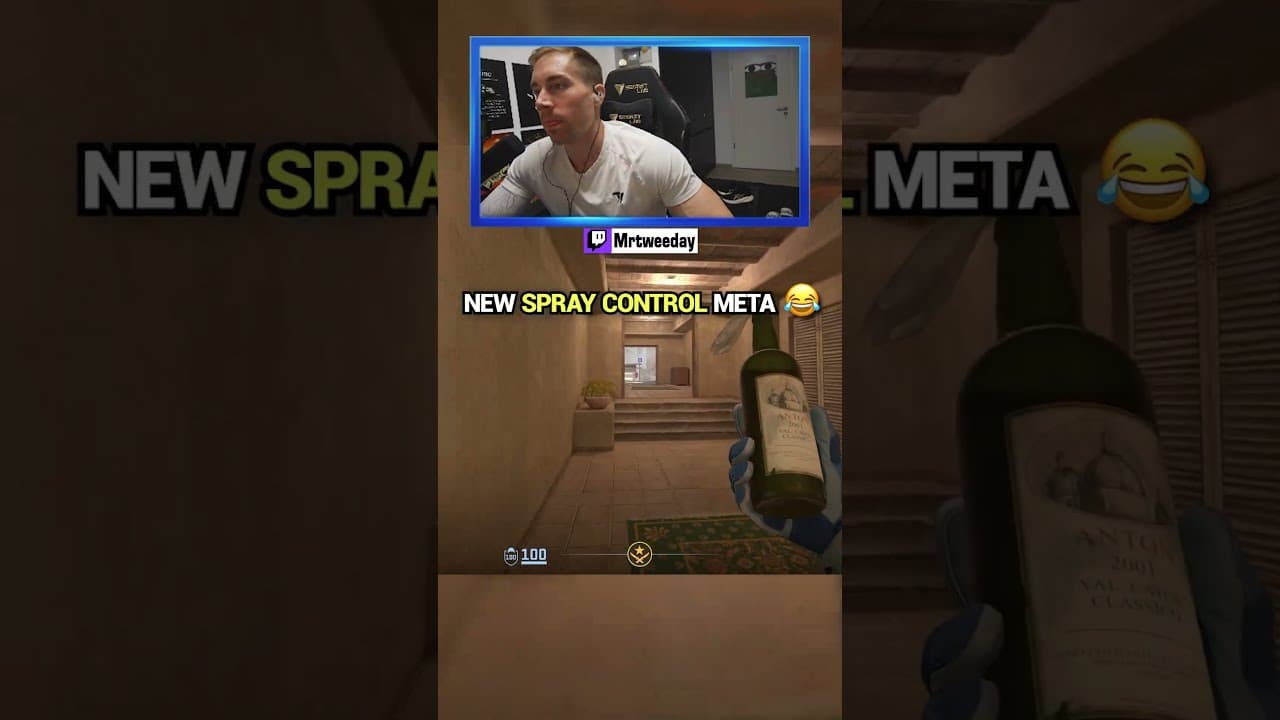 NEW 💯 SPRAY CONTROL META...😂 #cs2 #counterstrike2 #csgo
