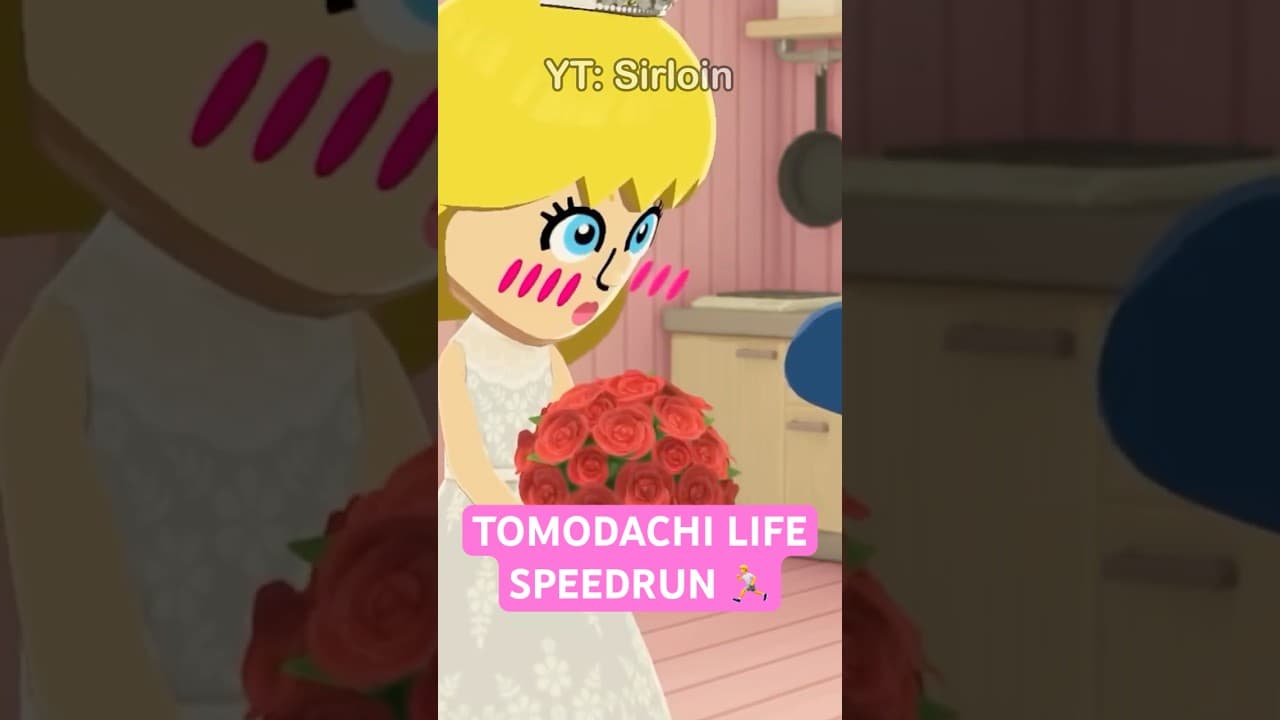 What Does a Tomodachi Life Living the Dream Speedrun Look Like?