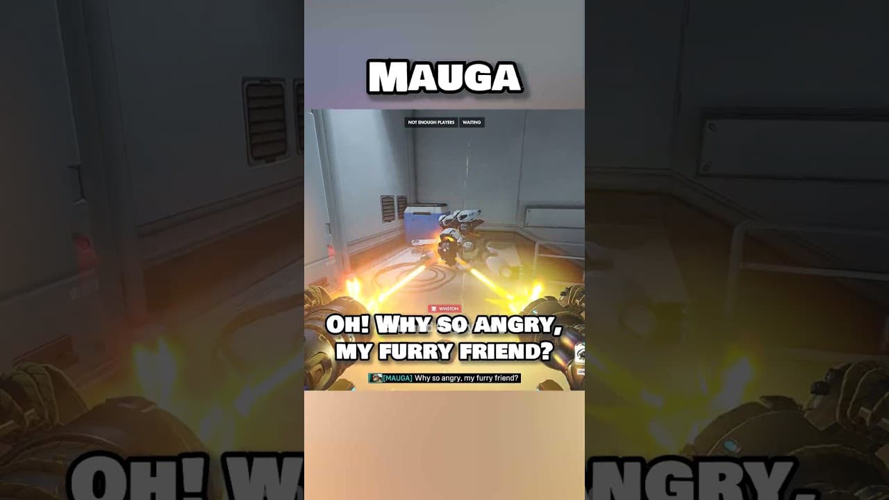 What Overwatch Heroes Say After Killing Winston in Primal Rage?
