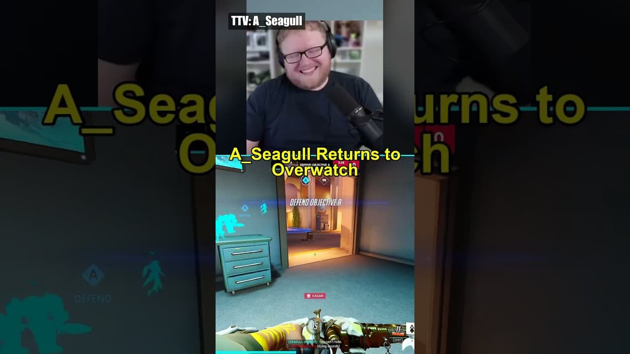 A_Seagull Returns to Overwatch