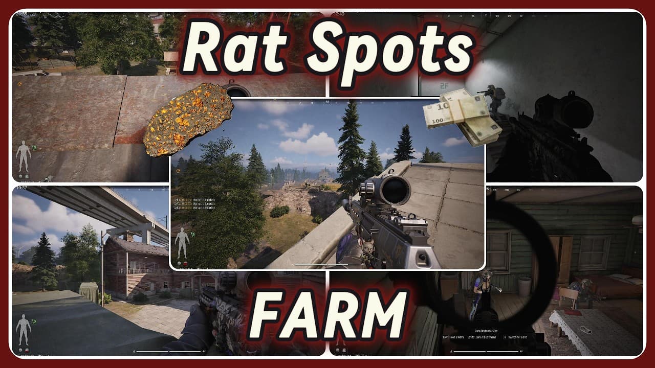 Farm Rat Spots! S6! | Arena Breakout Infinite