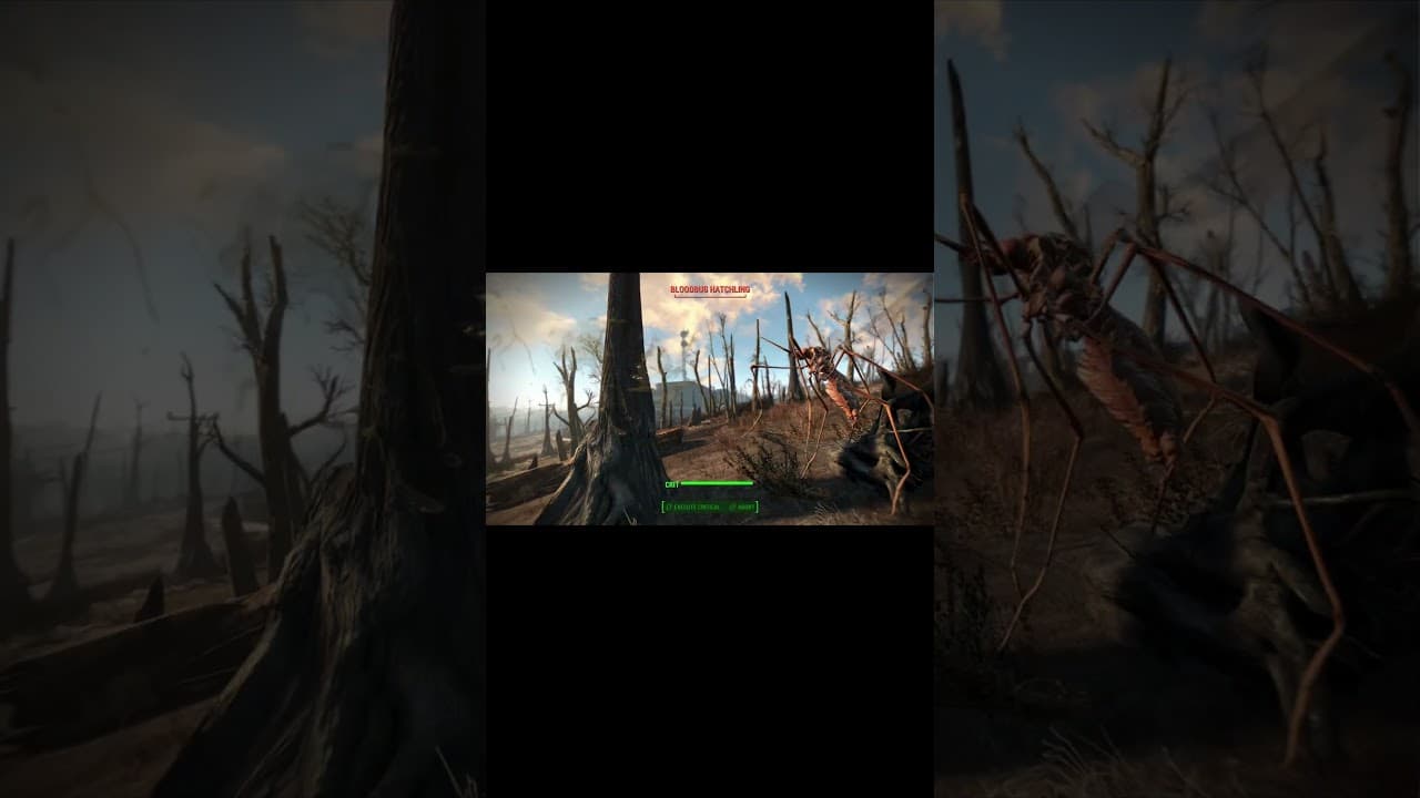 Fallout 4, Anyone else hate bugs! #fallout4  #falloutclips