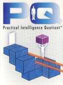 PQ: Practical Intelligence Quotient