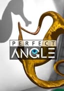 Perfect Angle