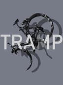 Tramp