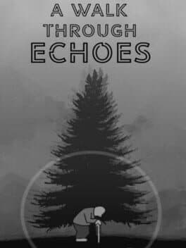 A Walk Through Echoes