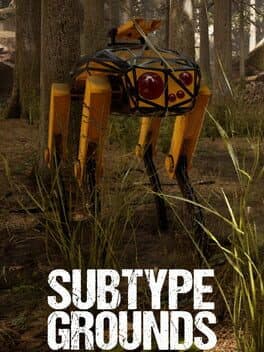 Subtype Grounds
