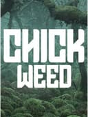Chickweed