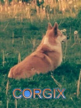 Corgix