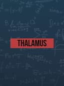 Thalamus