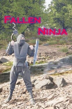 Fallen Ninja