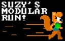 Suzy's Modular Run