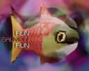 Run Salmon Run