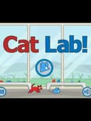 Cat Lab!