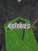 Colobus