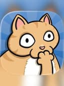 Clumsy Cat