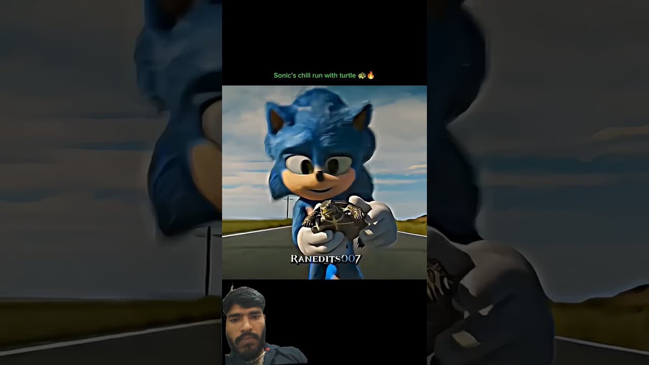 Sonic's chill run with sonic turtlehedgehog #sonic #dofus #dog #dogshorts #dogs #cat #shorts #viral
