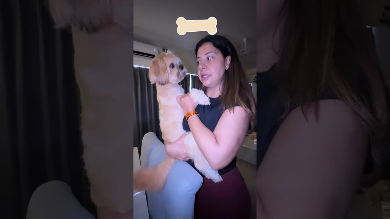sambhavana seth teases her dog coco for treats 🥹✨#coco#love #dog