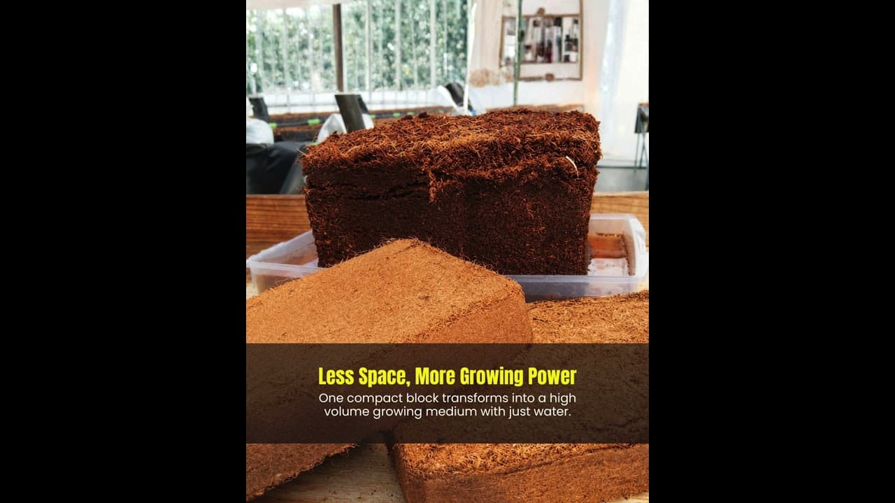 Coco Peat Block | Chithu Group