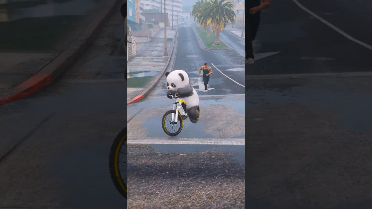Why Did Panda Take Franklin's Cycle? 😭 | GTA V #gtav