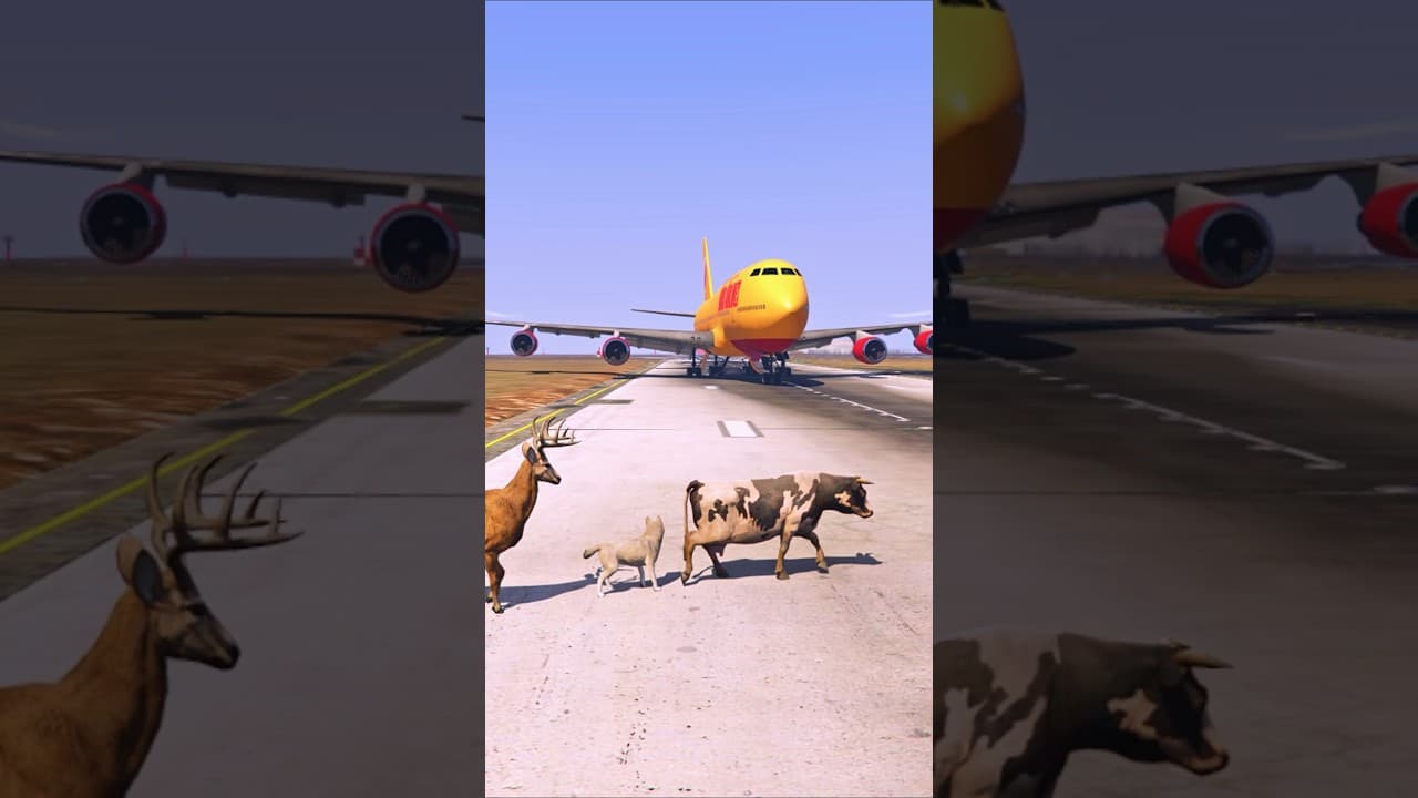 Planes Descend, And Unexpectedly, Animals Appear | Grand Theft Auto V ||
