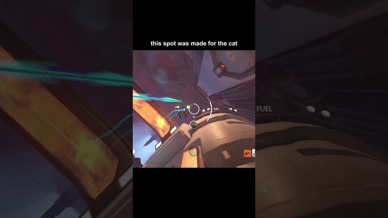 new cat spot unlocked #overwatch2 #gaming #overwatchclips #overwatch #ow2