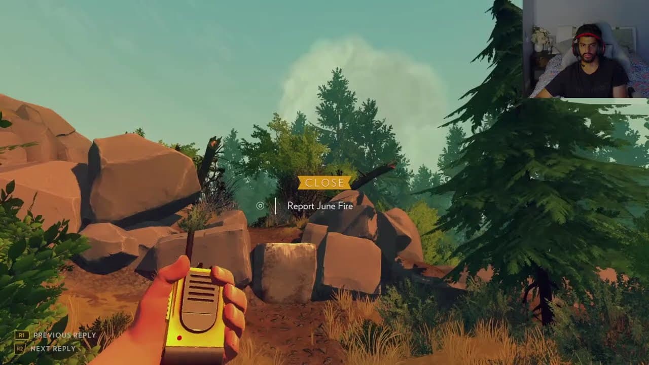Firewatch - Mysteries