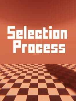 Selection Process